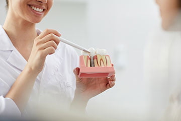 Dentist explaining the dental implant procedure to a patient during a consultation.