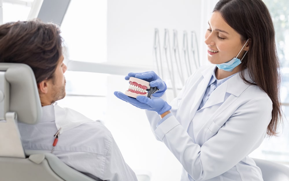 Dentist holding jaw model to explain dental bridge treatment
