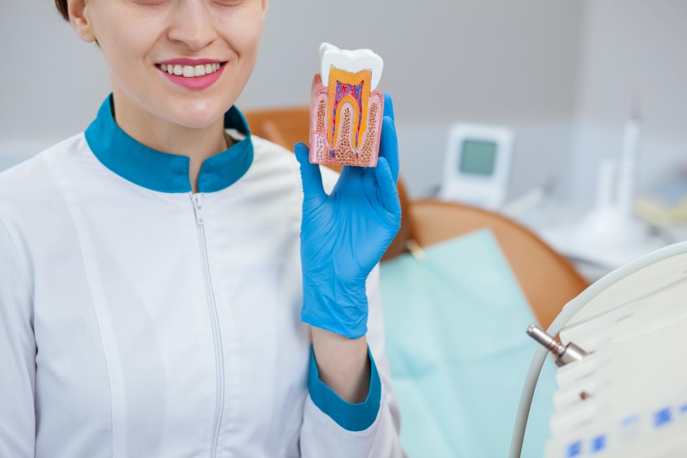 Side-by-side comparison of root canal therapy and tooth extraction